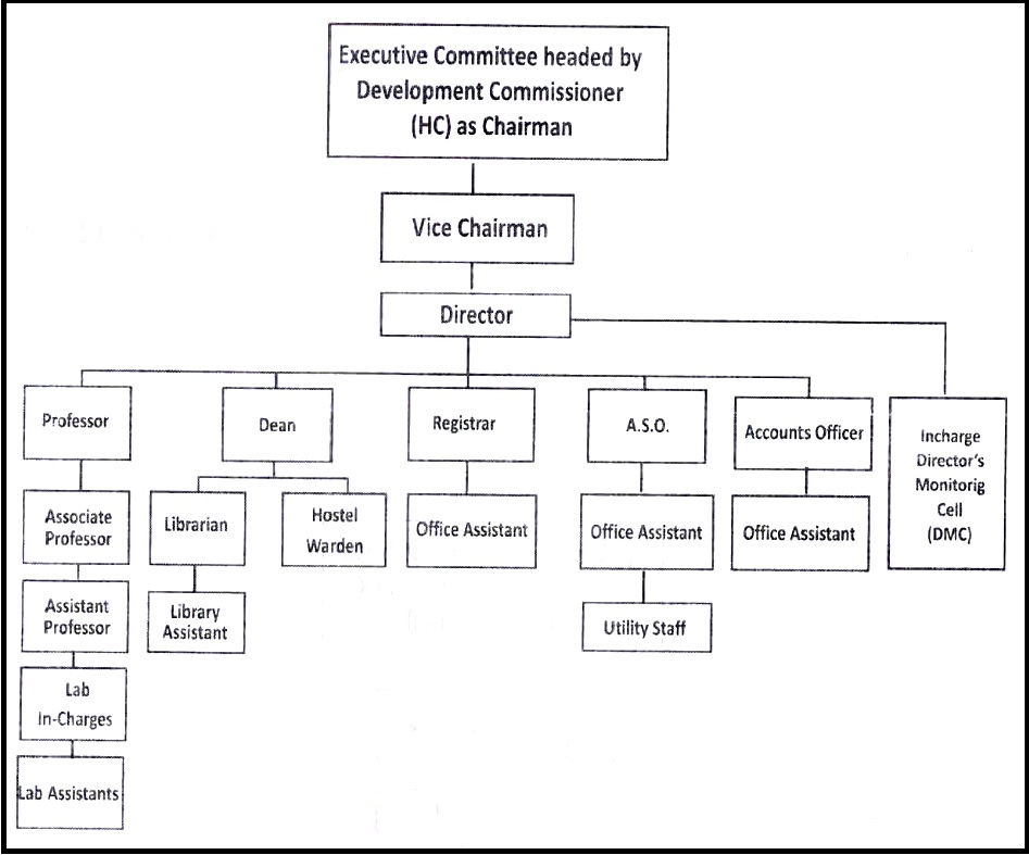 org chart